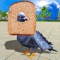 City Bird Pigeon Simulator