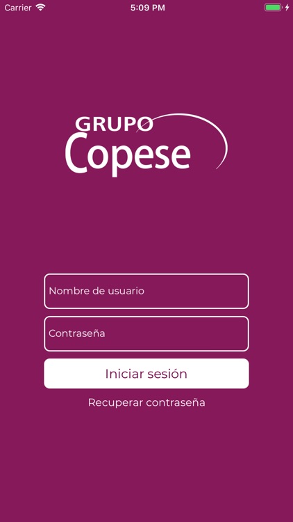 Grupo Copese