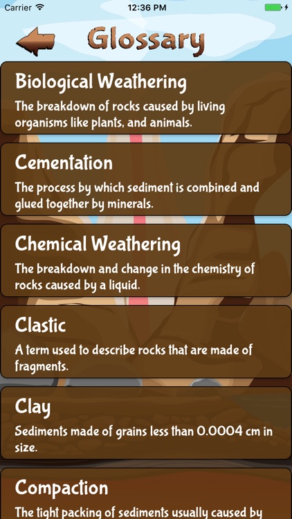 The Rock Cycle Game Pro