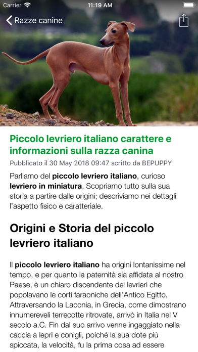 BEPUPPY Blog & Shop Screenshot