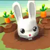 Rabbit In The Hole problems & troubleshooting and solutions