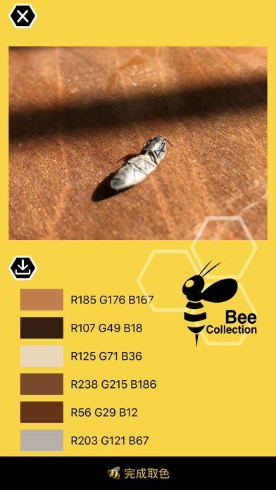 Bee - Color Pick & collection Screenshot