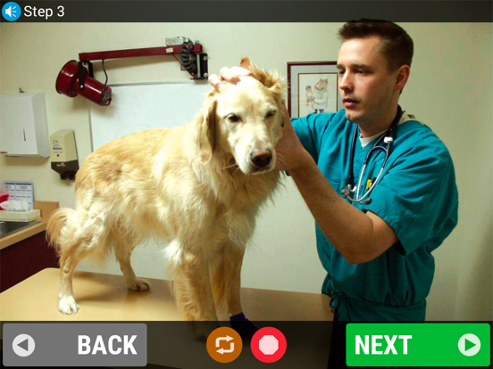 Screenshot #5 pour Everyday Skills