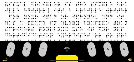Visual Brailler