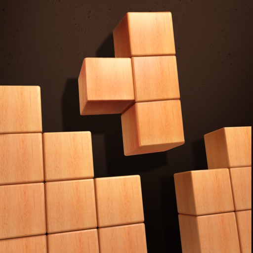 Wood Puzzle 3D Icon