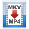 MKV2MP4