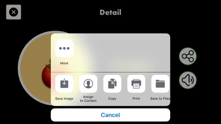 FruitSetWithVegetables screenshot-8