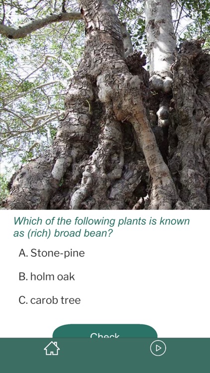 Percurso Eco-Botânico MGG screenshot-3