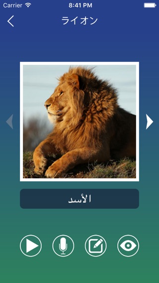 アラビア語単語のフラッシュカードのおすすめ画像3