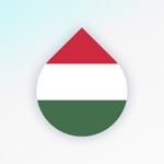 Download Learn Hungarian language fast app