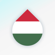 Learn Hungarian language fast