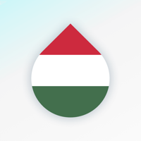 Learn Hungarian language fast