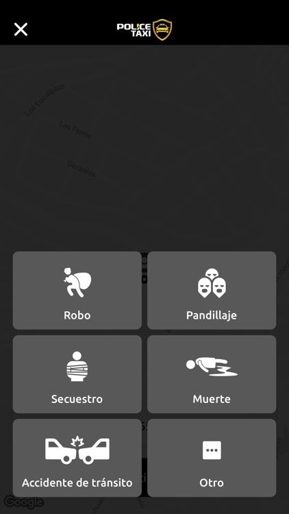 Police Taxi screenshot-5