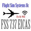 FSS 737 EICAS icon
