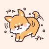 fluffy fat Shiba3 icon