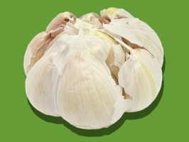 Garlic Stickers