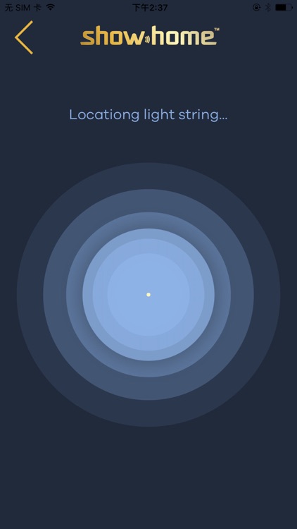 Holiday Tree -Holiday ShowHome