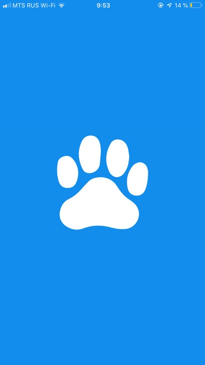 wild pet- ווילד פט