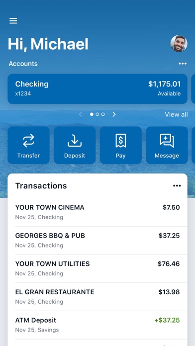 Palisades Credit Union Screenshot