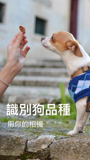 DogDNA