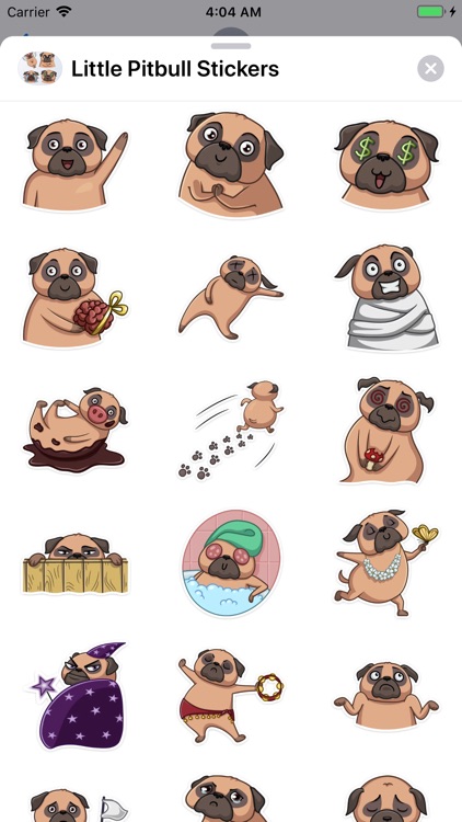Little Pitbull Stickers