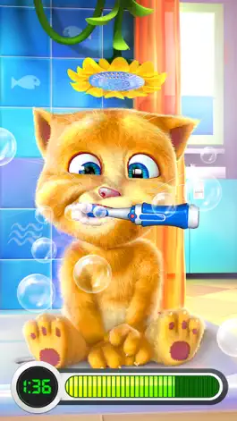 Game screenshot Talking Ginger mod apk