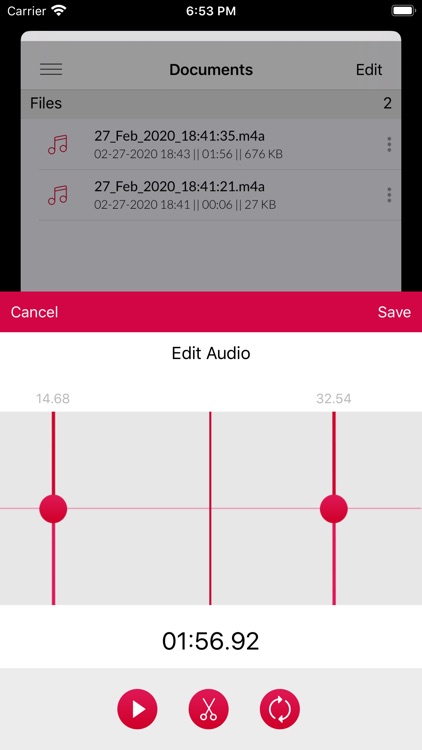 Voice Recorder : Playback Memo screenshot-5