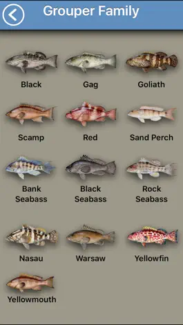 Game screenshot Fish the Gulf hack