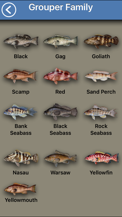 Fish the Gulf Screenshot