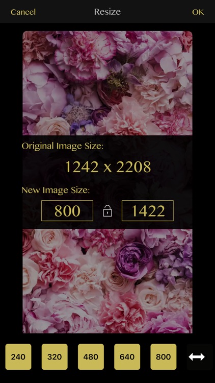 Photo Editing - PhotoZen Pro screenshot-4
