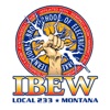 IBEW 233