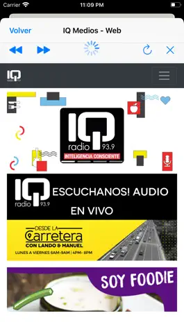 Game screenshot IQ Radio FM apk