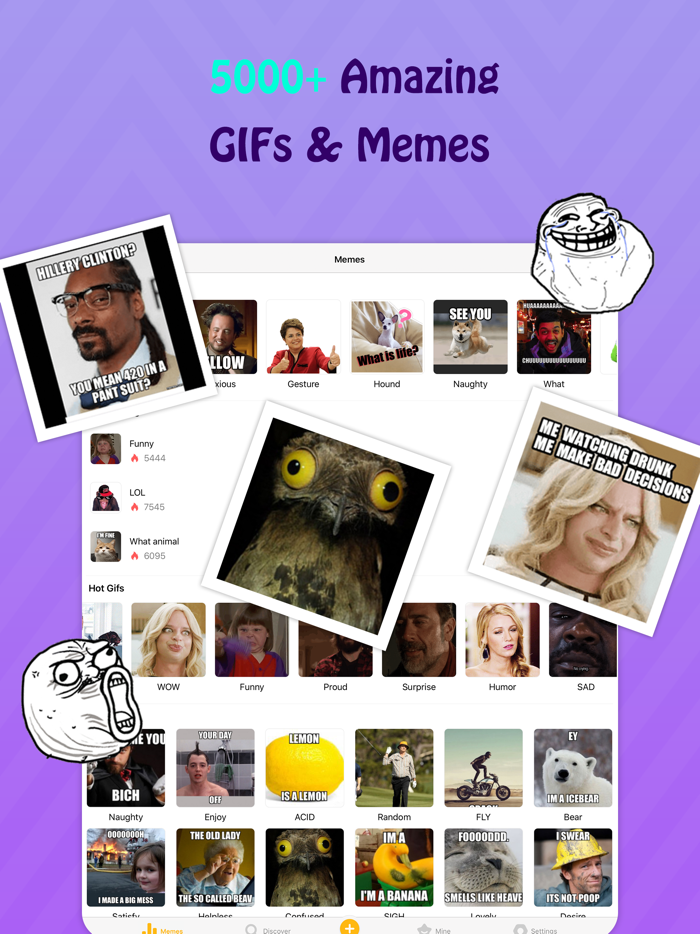 GIF Meme Maker Text on Giphy