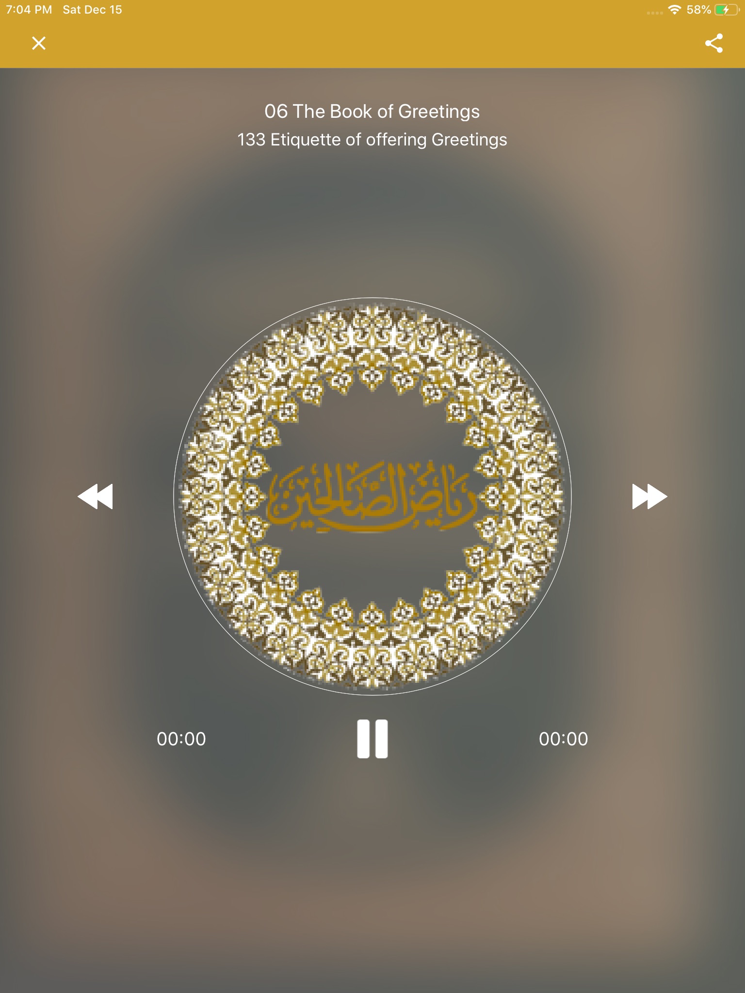 Riyad-us-Saliheen: Audio screenshot 4