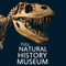 Take an incredible journey through the natural history museum from the comforts of your home