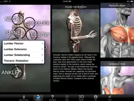 Game screenshot Muscle & Bone Anatomy 3D hack