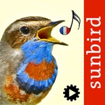 Download Chants d’oiseaux automatique app