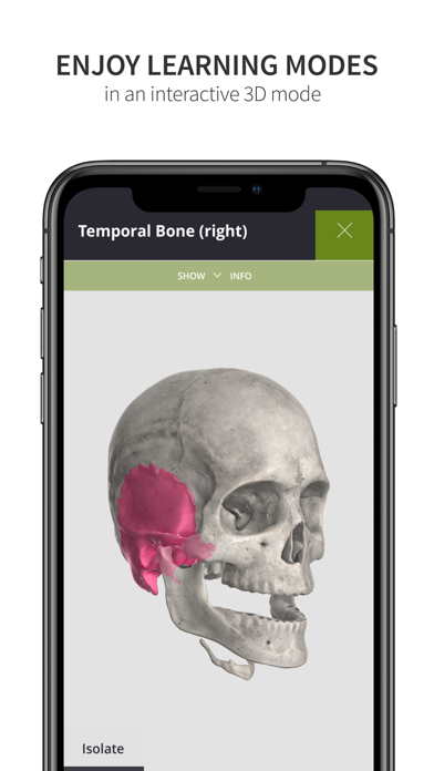 Anatomyka Skeleton Screenshot