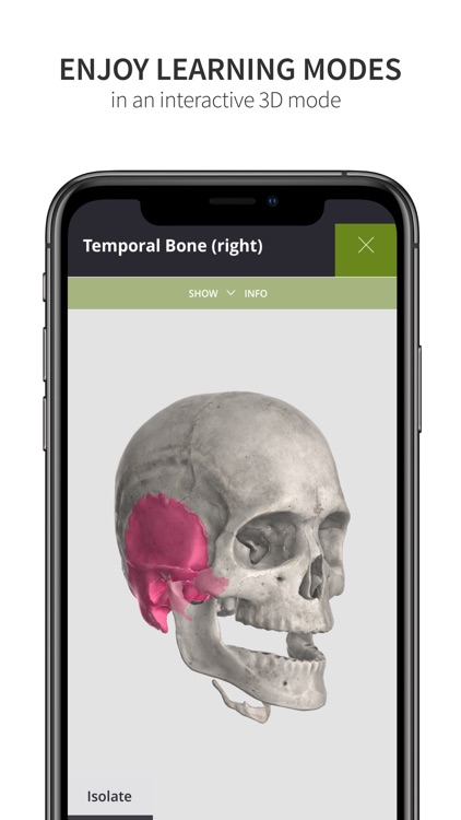 Anatomyka Skeleton screenshot-7