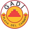 GADI Usuario