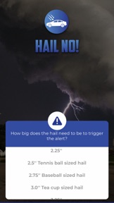 Hail No! screenshot