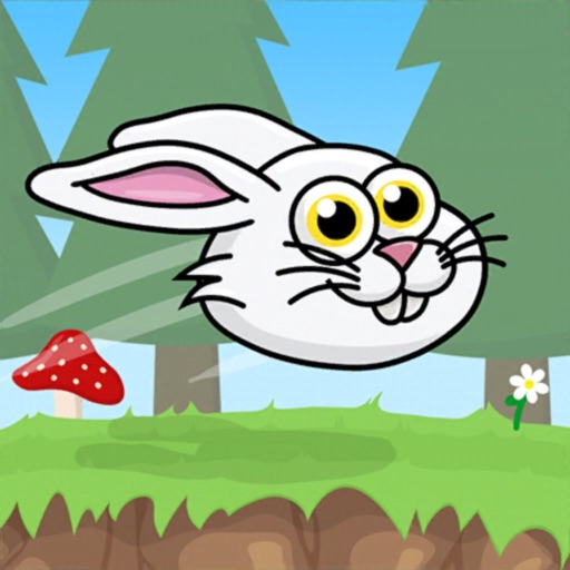 Bunny Ball Adventures