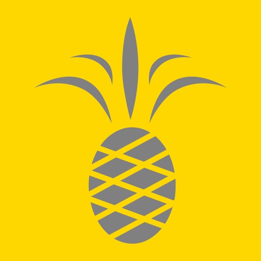 SF Business for iPad