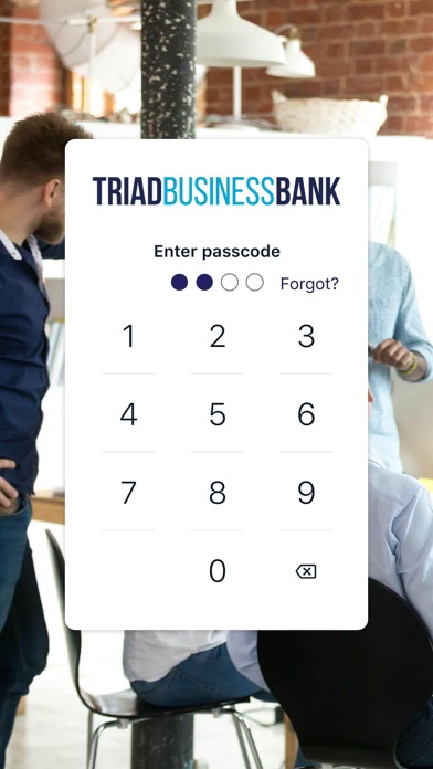 Triad Business Bank Screenshot