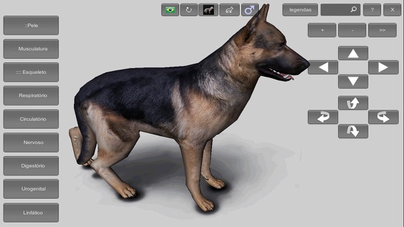 3D Canine Anatomyのおすすめ画像1