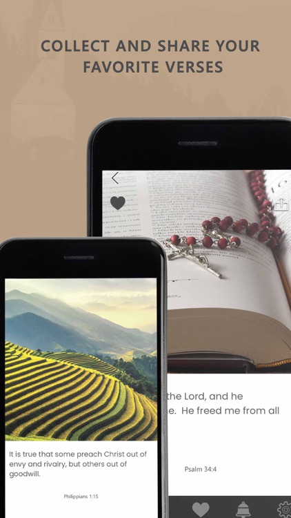 Faith: Daily Bible Verse screenshot-4