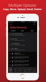 voice recorder plus pro iphone screenshot 3