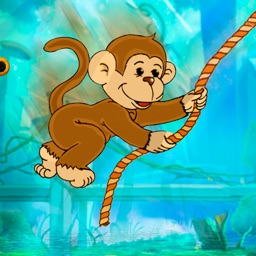 Monkey Hook