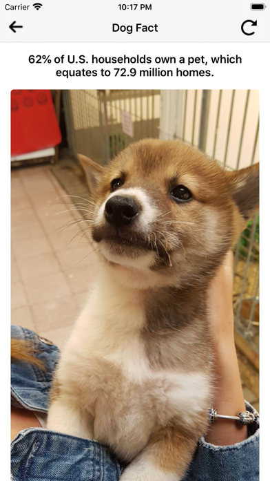 Dog Master - Dog Lover App Screenshot
