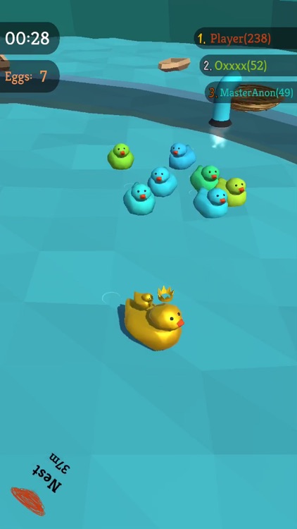 Water Ducks
